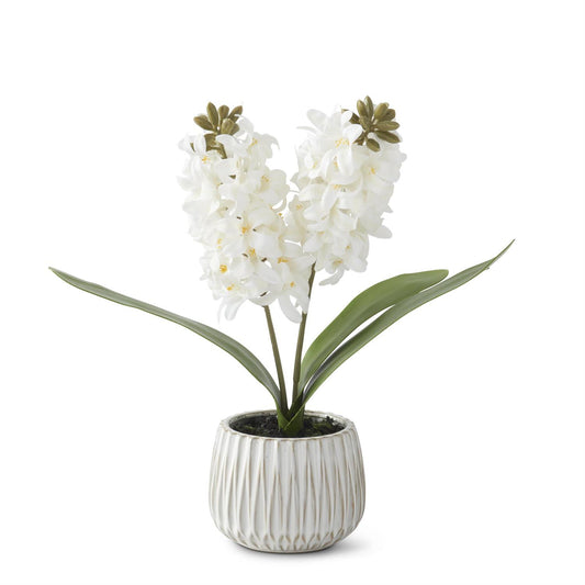 White Real Touch Hyacinth in White Ceramic Pot