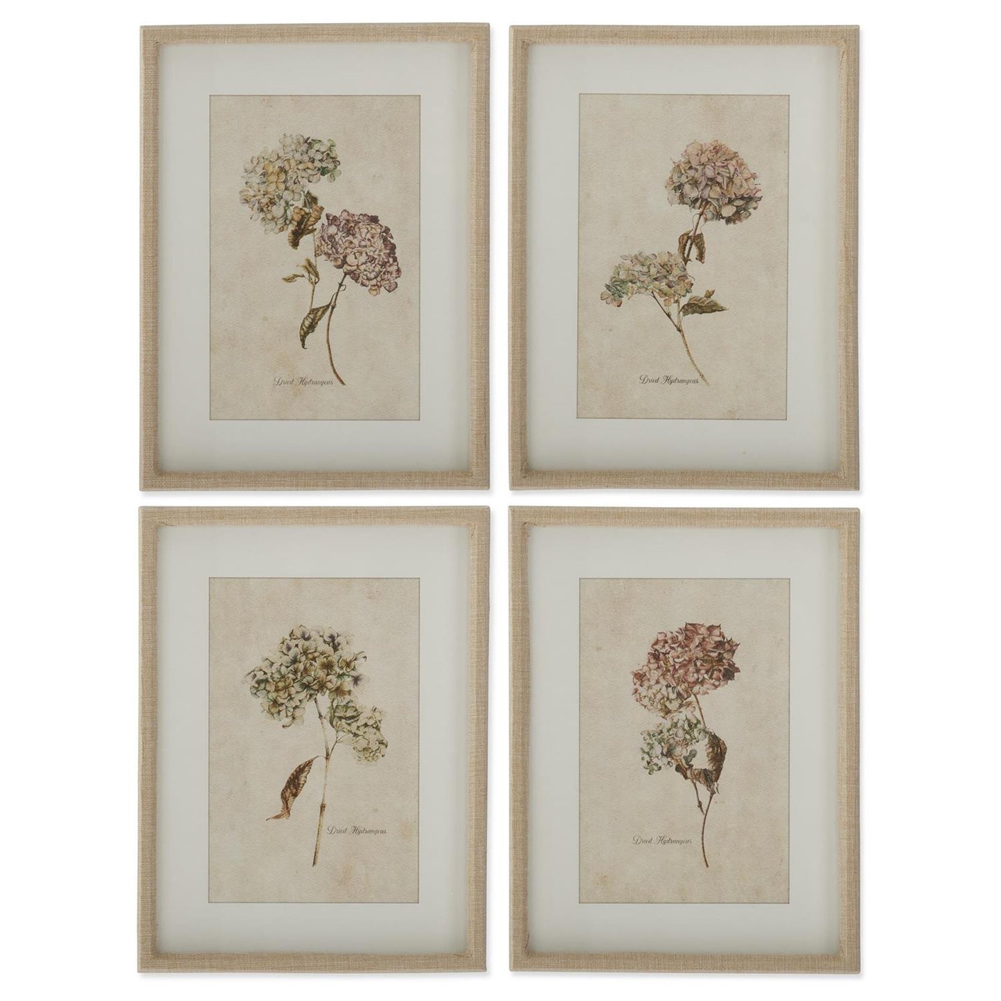 Burlap Wrapped Wood Framed Dried Hydrangea Prints