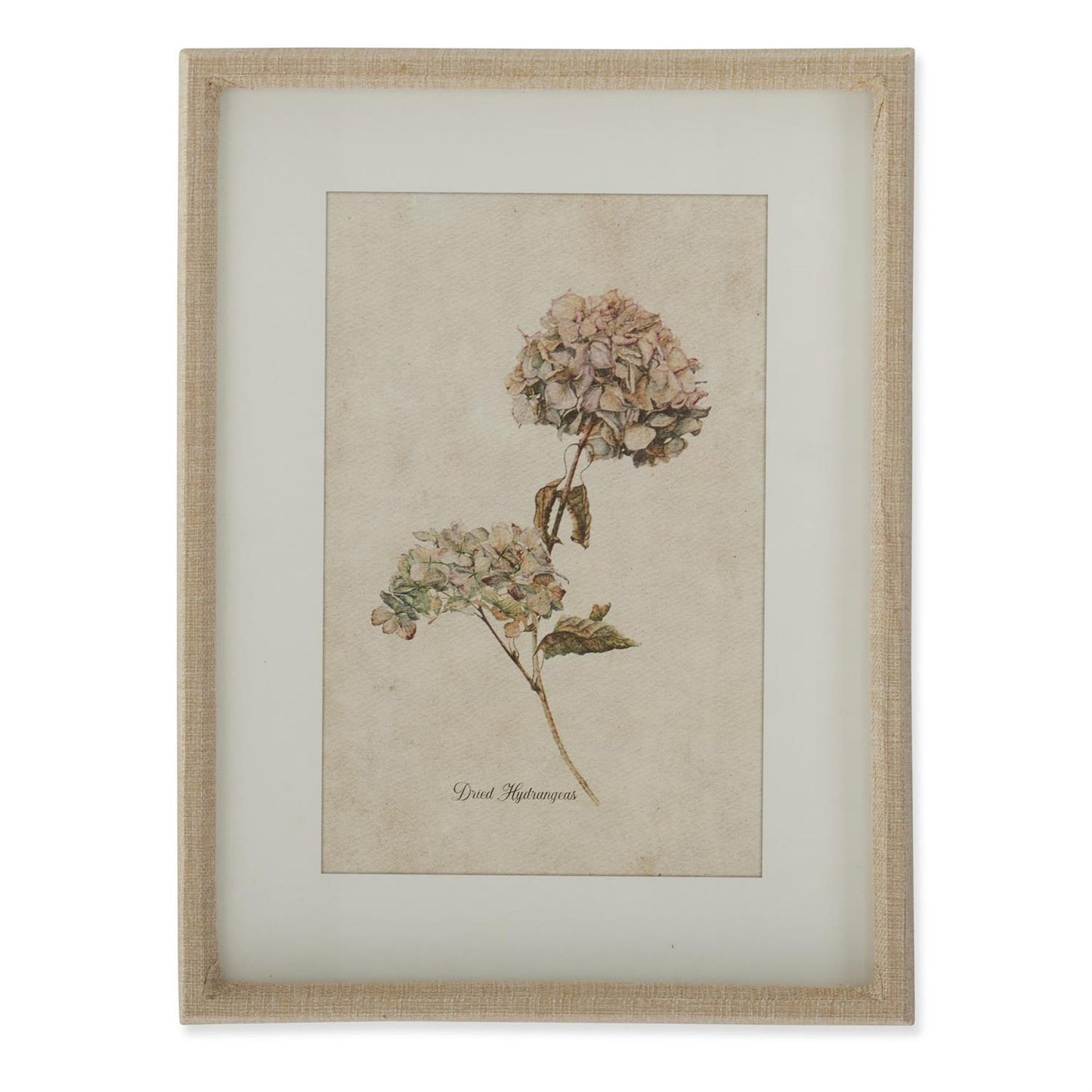 Burlap Wrapped Wood Framed Dried Hydrangea Prints