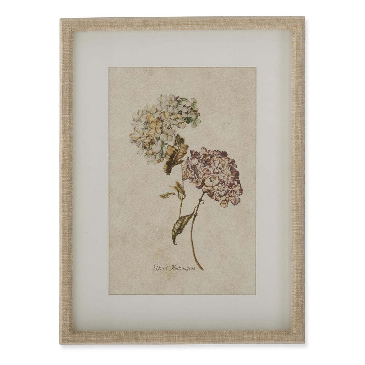 Burlap Wrapped Wood Framed Dried Hydrangea Prints