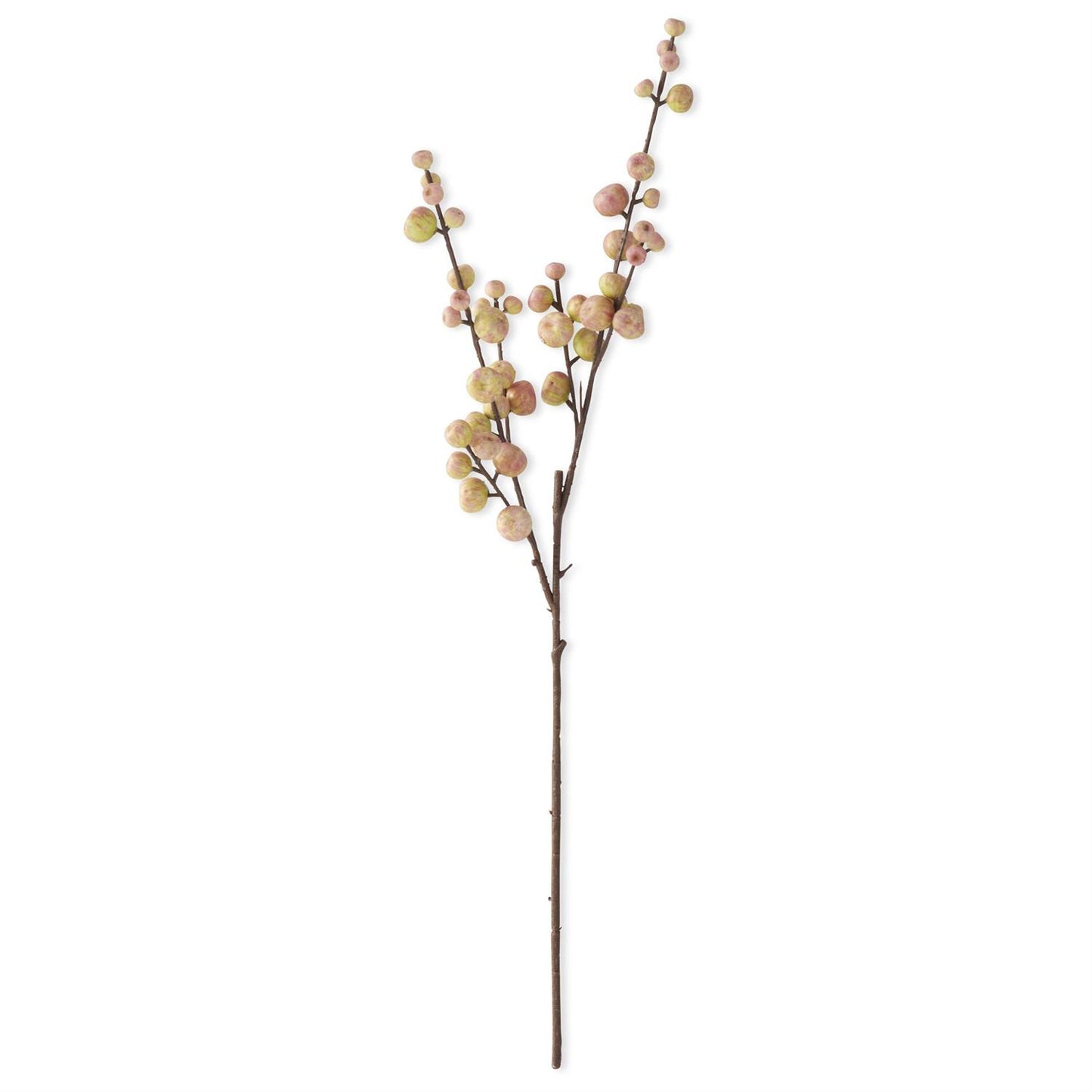 Crabapple Stem