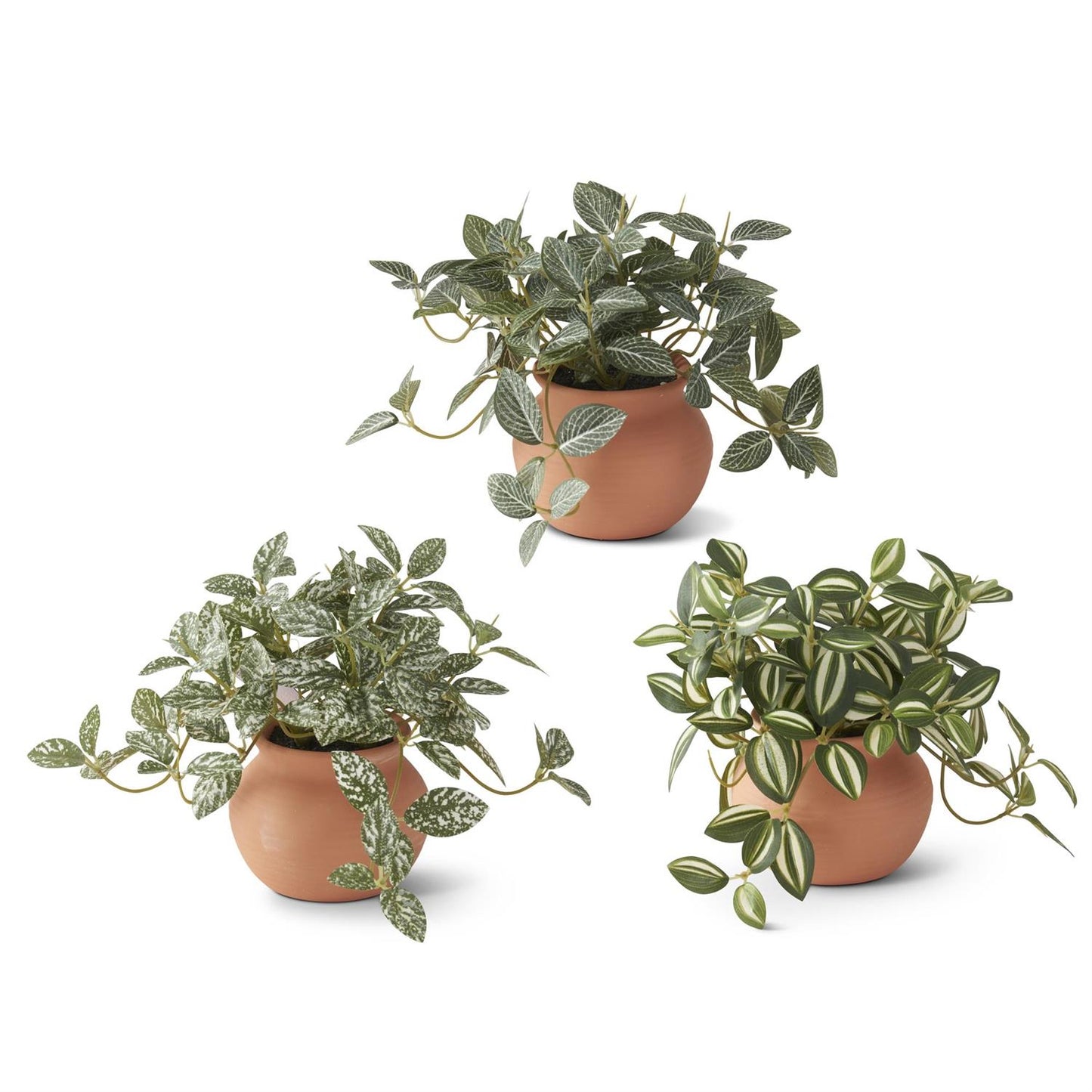 Ceramic Potted Plant