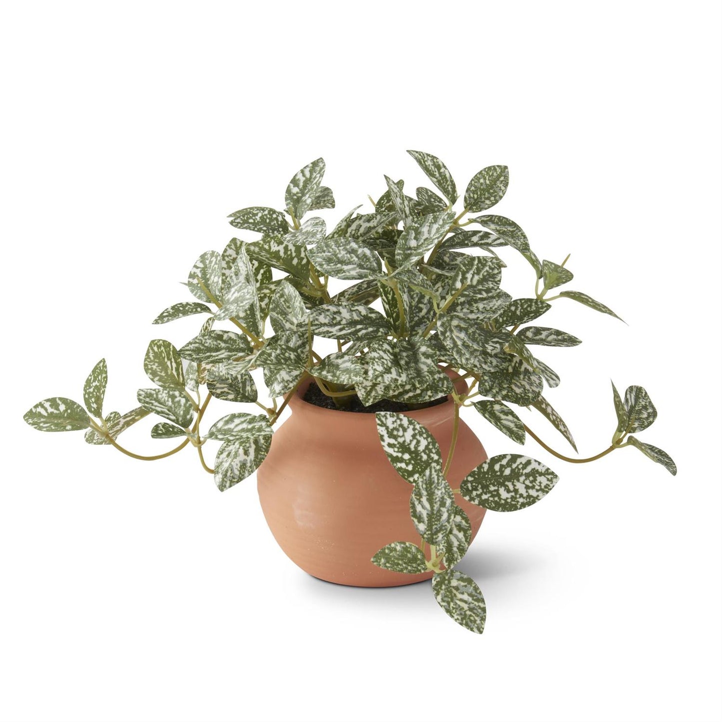 Ceramic Potted Plant