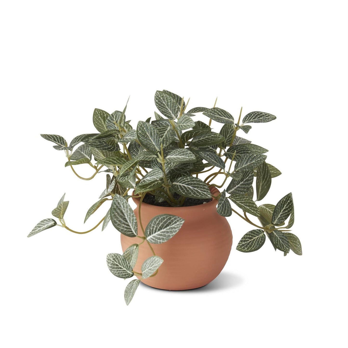 Ceramic Potted Plant
