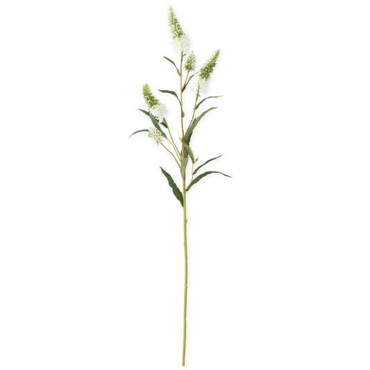 White Pineapple Lily Stem