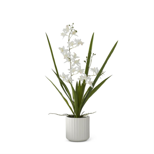 Real Touch White Orchid in White Ribbed Ceramic Pot