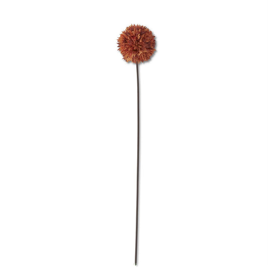 26 Inch Orange Allium Stem
