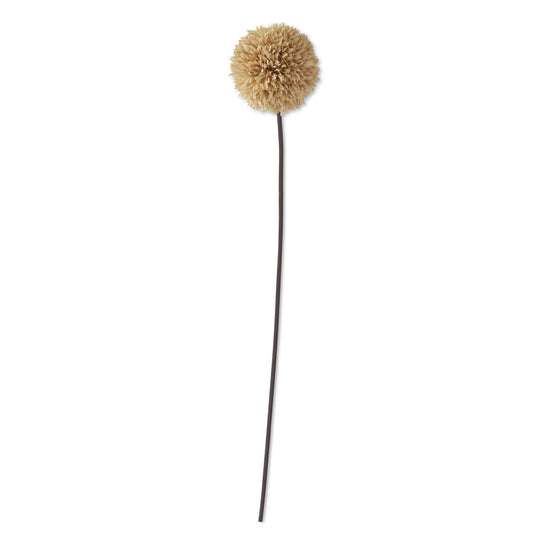 31 Inch Tan Allium Stem