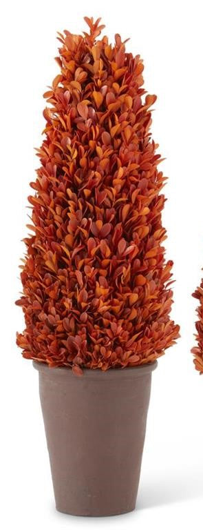 Preserved Boxwood Potted Cone Trees