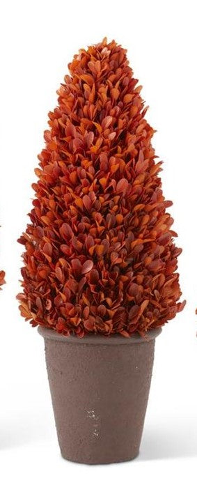 Preserved Boxwood Potted Cone Trees