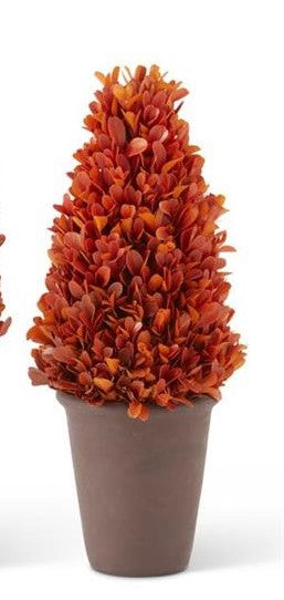 Preserved Boxwood Potted Cone Trees