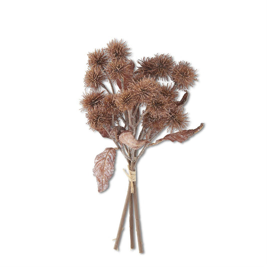 Light Brown Sycamore Fruit Bundle