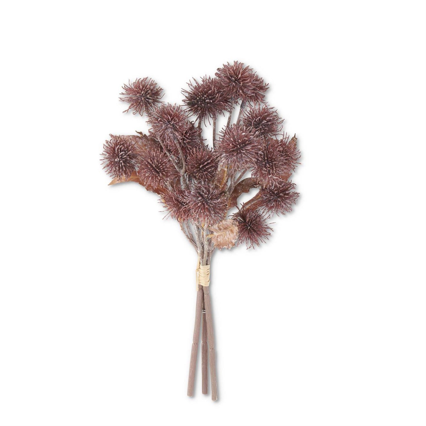 Burgundy Sycamore Fruit Bundle