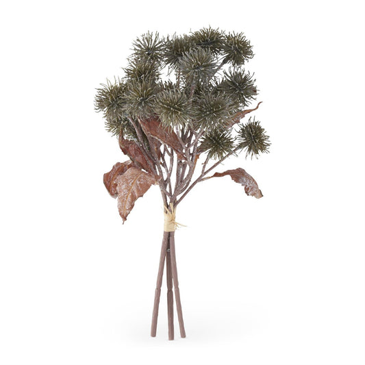 Green Sycamore Fruit Bundle