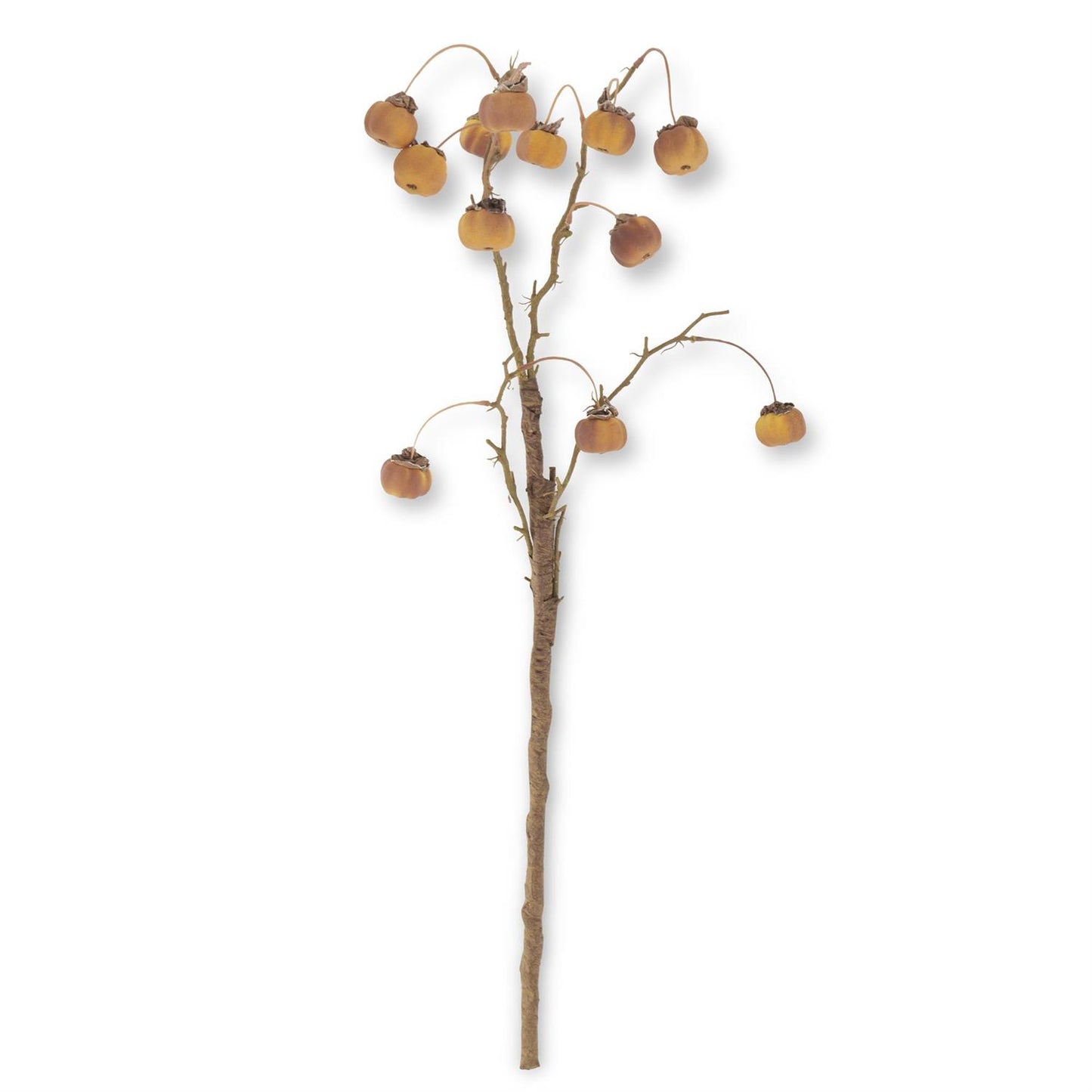 Yellow Mini Pumpkin Branch