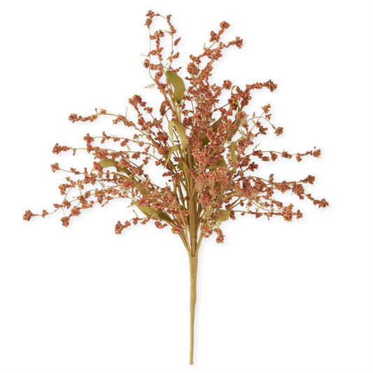 Orange Rust Seed Berry Bush