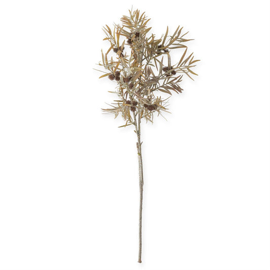 Dark Brown Thistle & Reed Spray