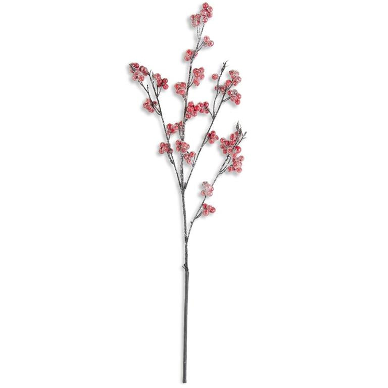 Red Berry Branch