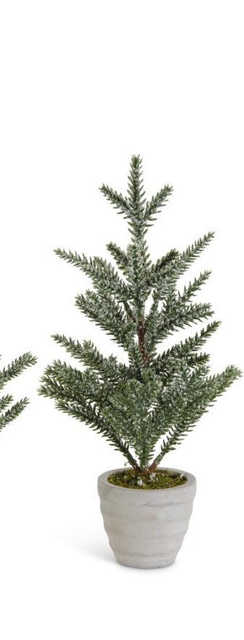 Snowy Pine Trees in Gray Cement Pots