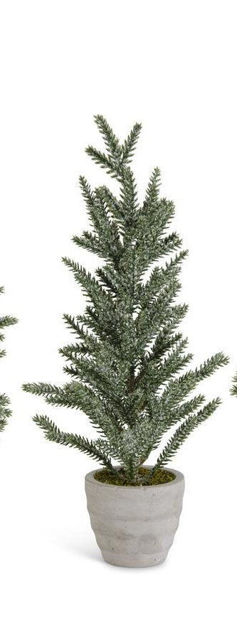 Snowy Pine Trees in Gray Cement Pots