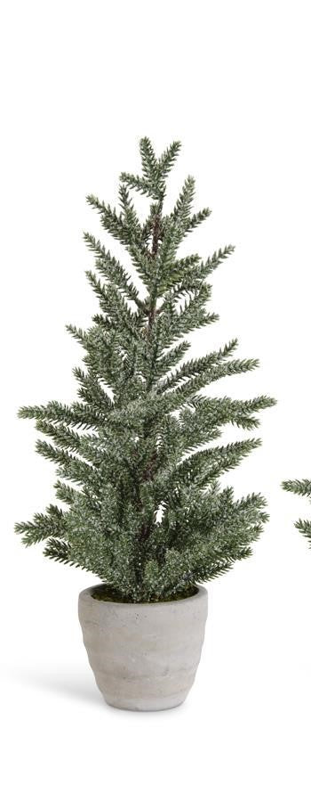 Snowy Pine Trees in Gray Cement Pots