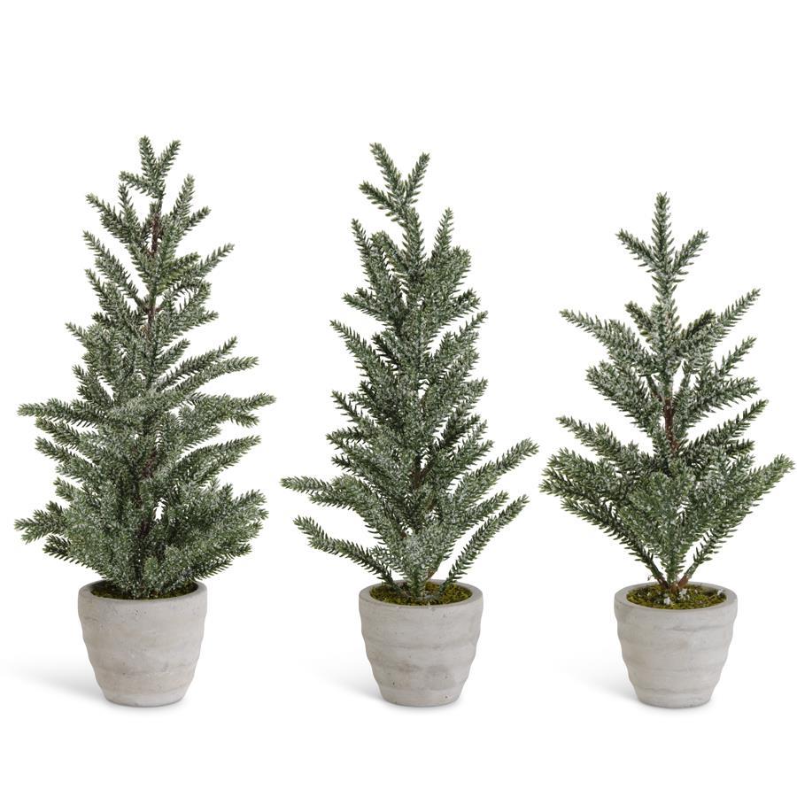 Snowy Pine Trees in Gray Cement Pots