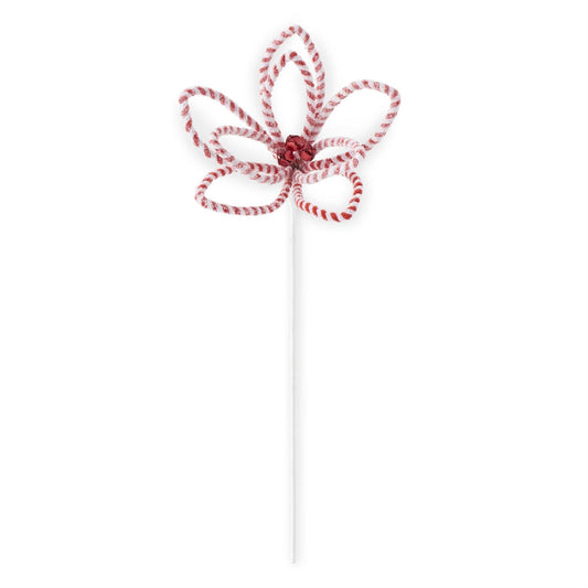 Glittered Snowy Red & White Striped Poinsettia