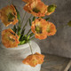 ORANGE POPPY SPRAY