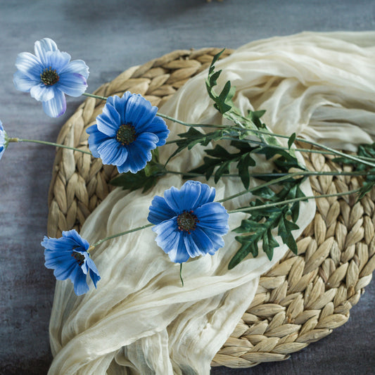 BLUE COSMOS SPRAY