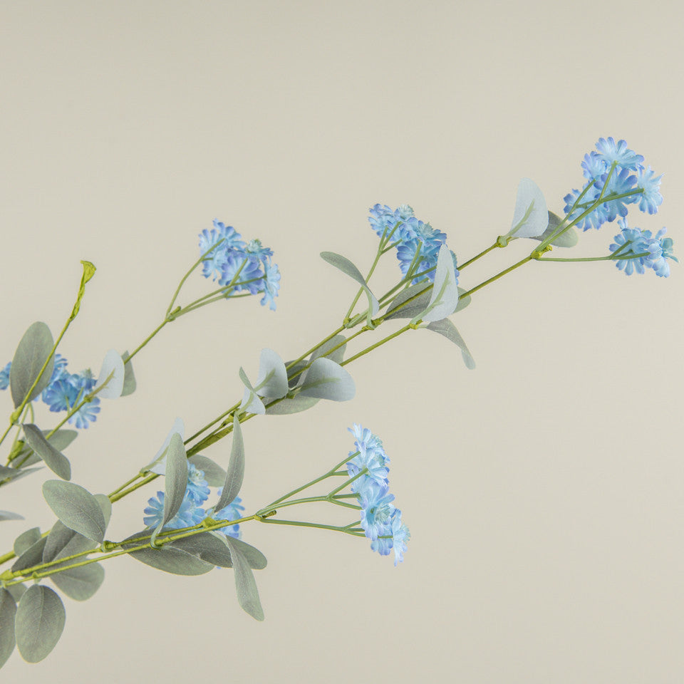 BLUE WILD DAISY SPRAY