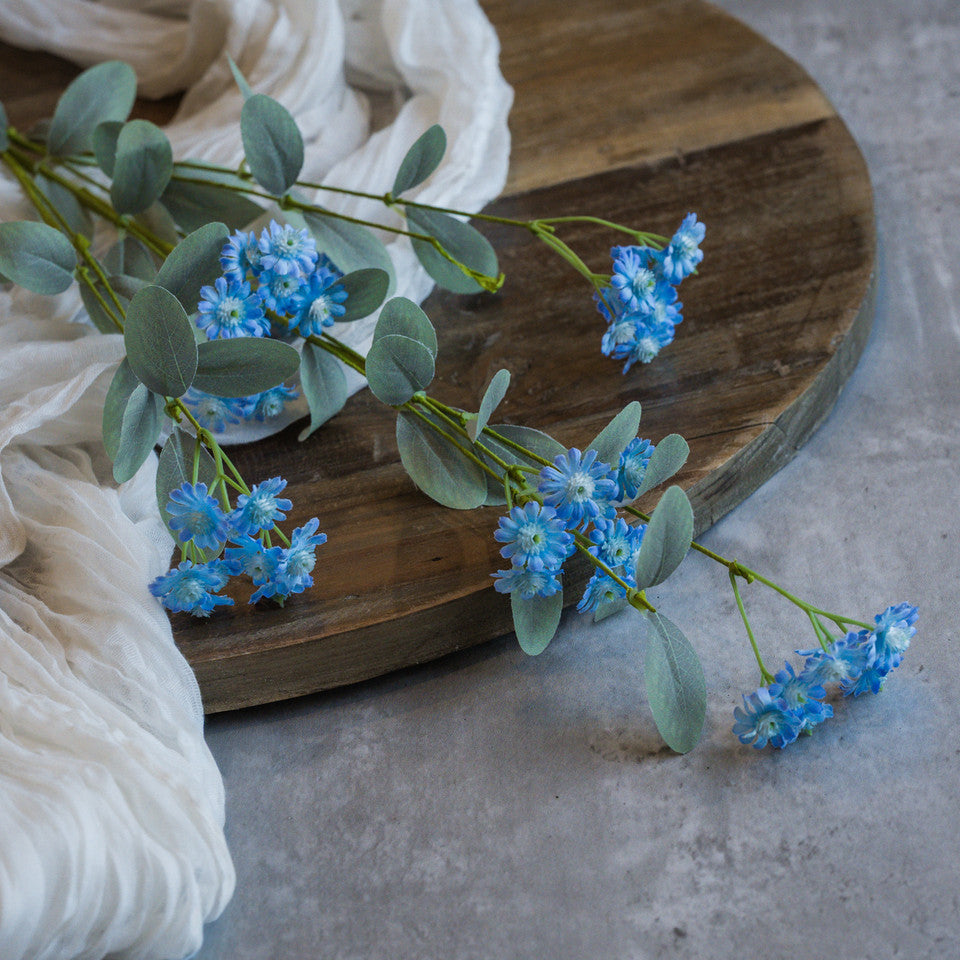 BLUE WILD DAISY SPRAY