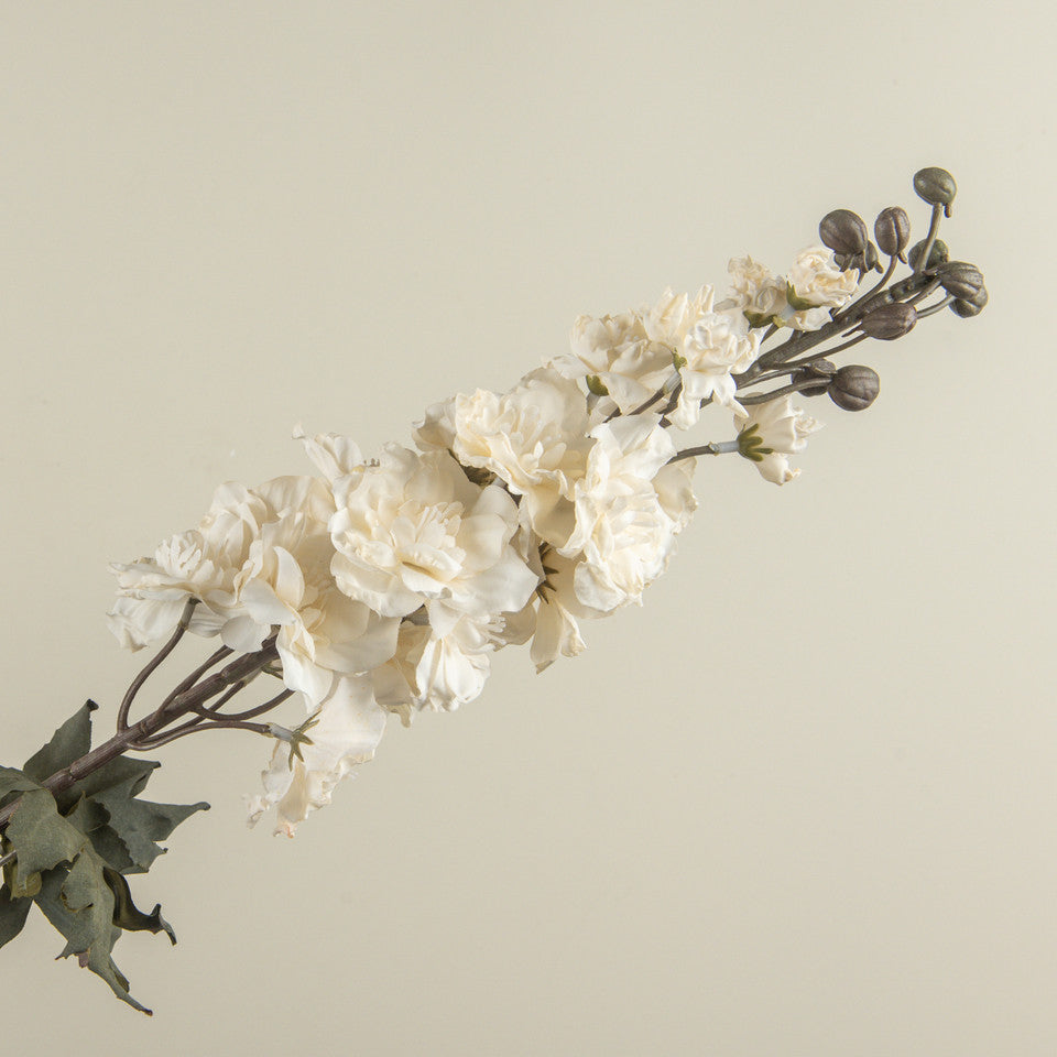 CREAM LARKSPUR STEM