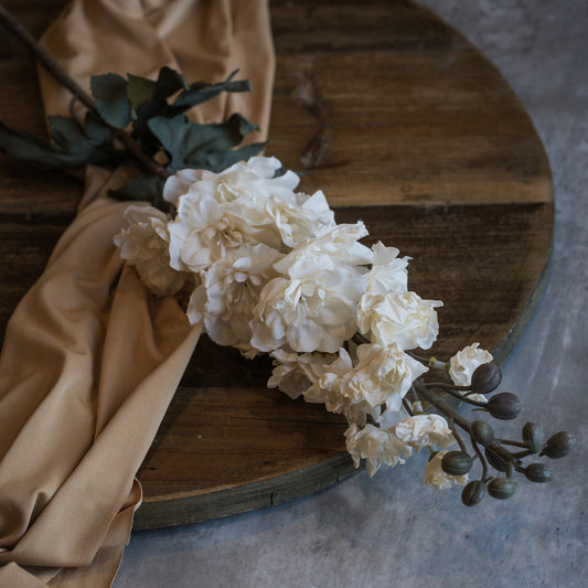 CREAM LARKSPUR STEM