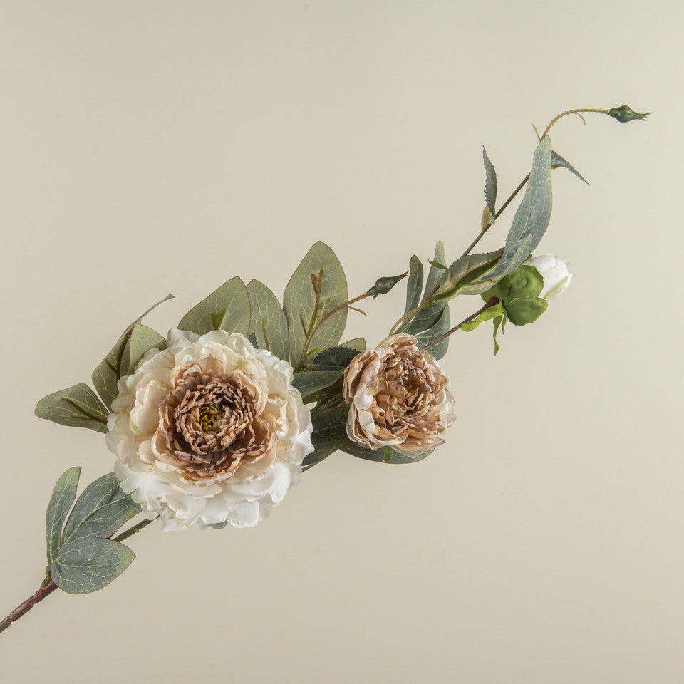 CREAM & BROWN PEONY STEM