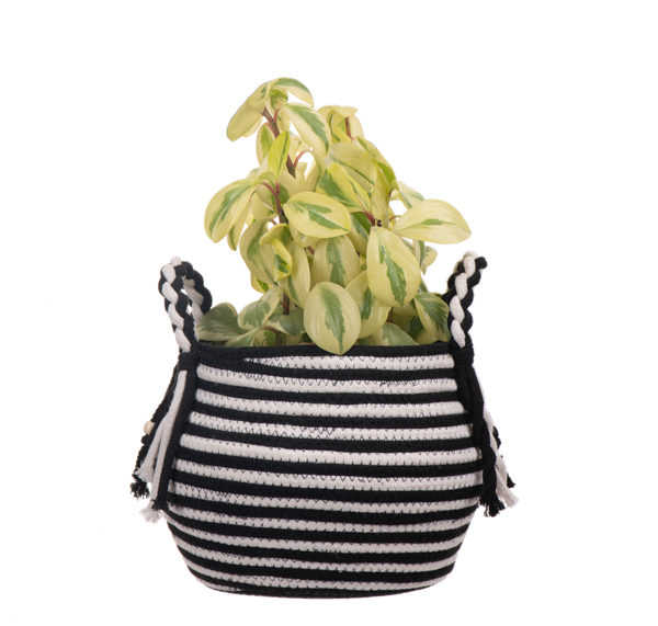 Black & White Striped Basket