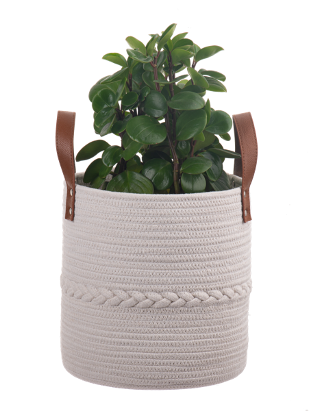 Round White Basket with Braid Accent