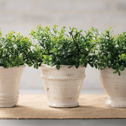 GLAZED CERAMIC POT