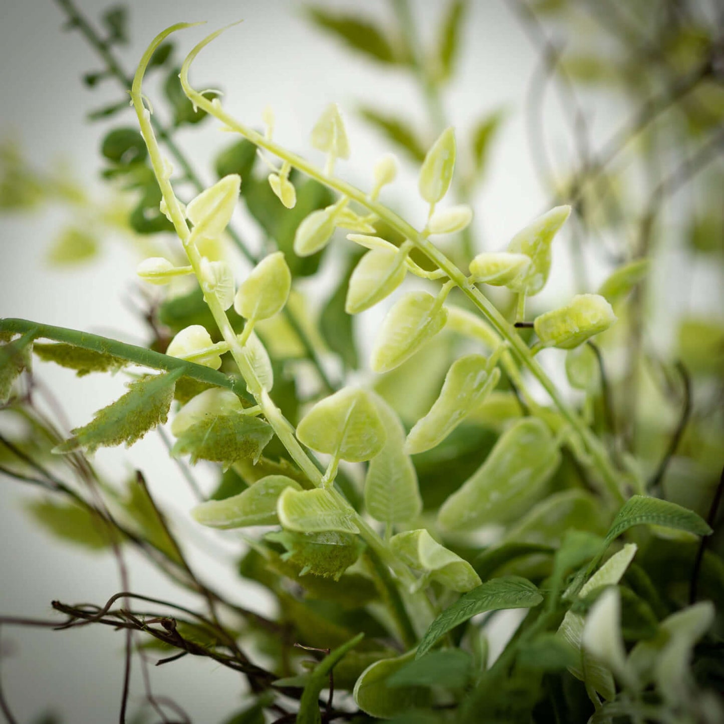 FERN TWIG SPRAY