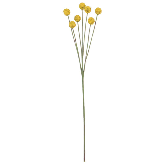 BILLY BUTTON STEM - yellow