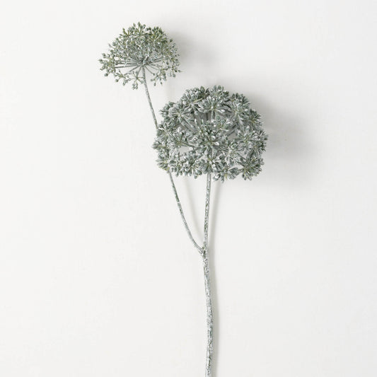EUCALYPTUS SEED - DARK GREEN