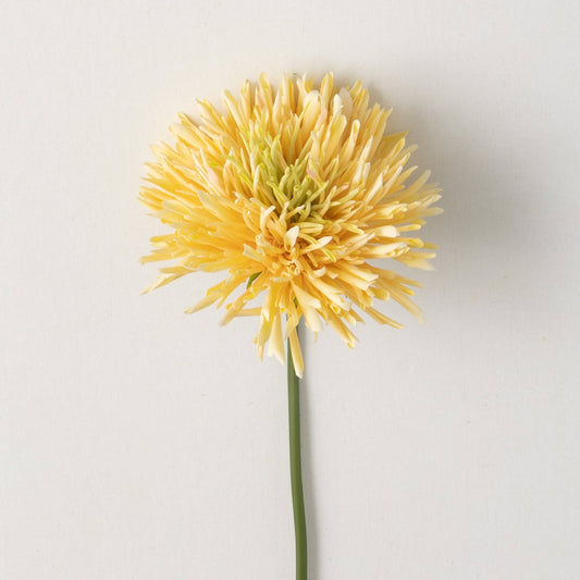 CHRYSANTHEMUM SPRING - YELLOW