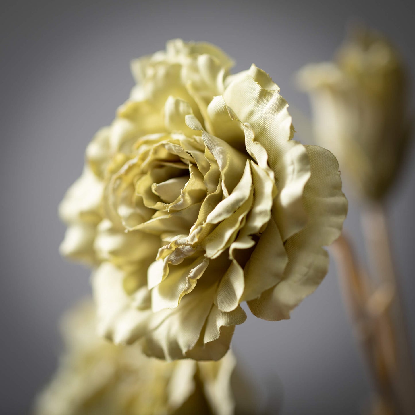 LISIANTHUS SPRAY - SOFT GREEN
