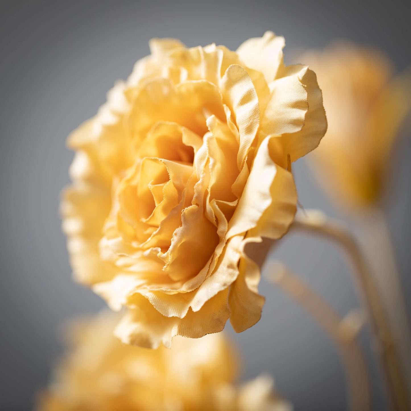 LISIANTHUS SPRAY - SOFT YELLOW