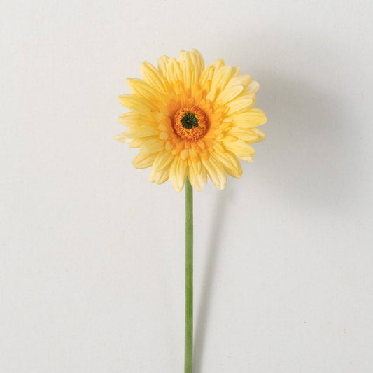 GERBERA DAISY - YELLOW